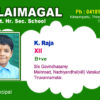 Id Card PSD Download Design 403
