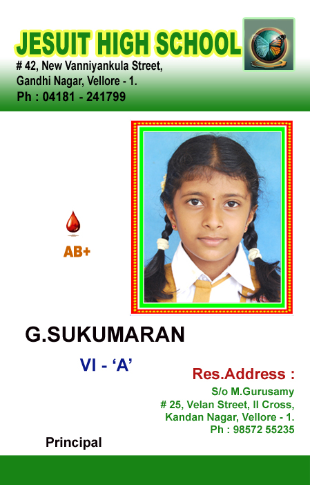 Id Card PSD Download Design 245