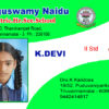 Id Card PSD Download Design 257